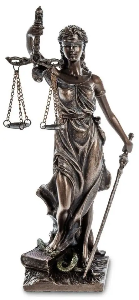 Адвокат, фотография 9