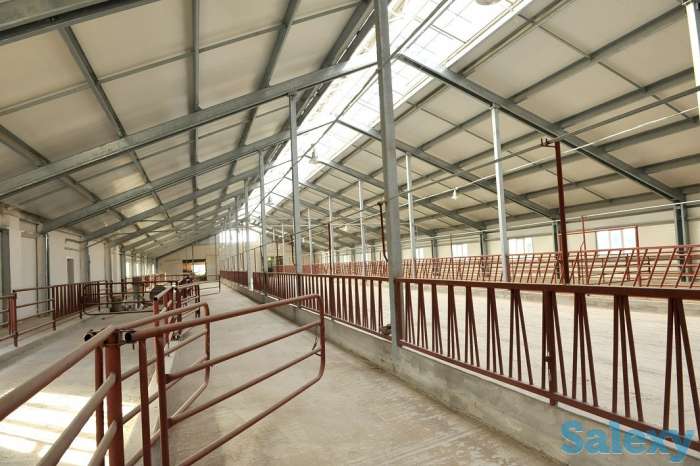 Ангары, автомойки, фермы, склады из металлоконструкций, фотография 8