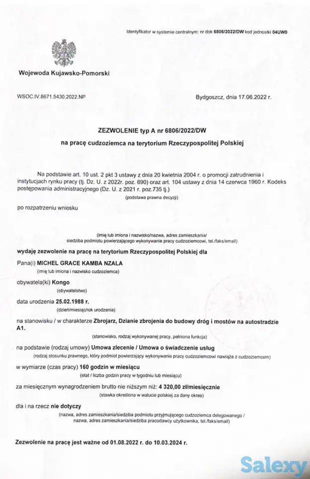 Рабочая виза в Польшу. Приглашение  в Польшу, фотография 3