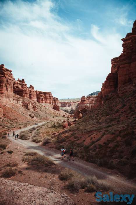 Фотограф в Алматы Роман Якунин, фотография 3