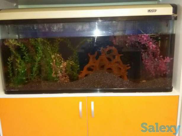 Продам аквариум., фотография 1