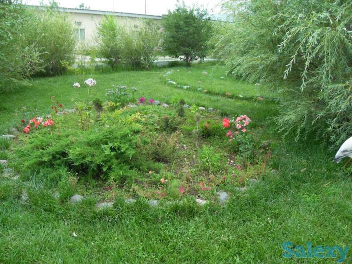 Отдых на озере Алаколь, фотография 7