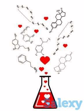 Ент курс по химии, фотография 2