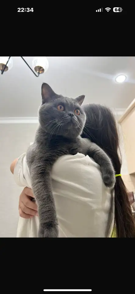 pavlenko100495icloud.com, фотография 6