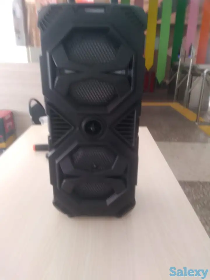 Беспроводная Bluetooth колонка с караоке, фотография 2