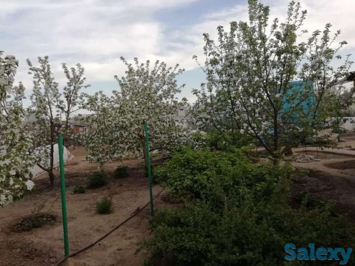 Дача 6 соток. Бобровка 4е дачи, фотография 1