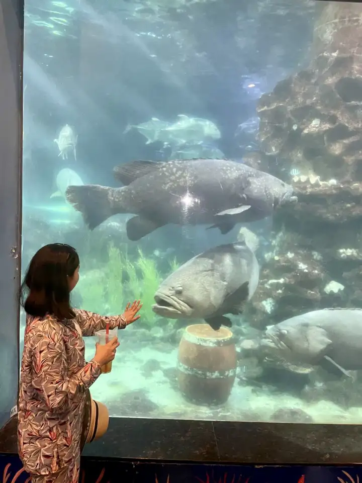 Репетитор английского, фотография 1