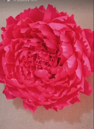 РОСТОВЫЕ ЦВЕТЫ, фотография 3