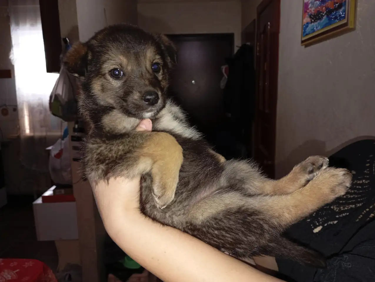 Забери меня к себе, Добрый человек, фотография 3