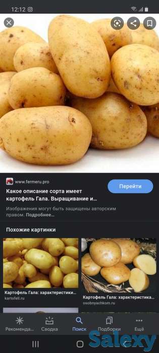 Продам картофель, фотография 1