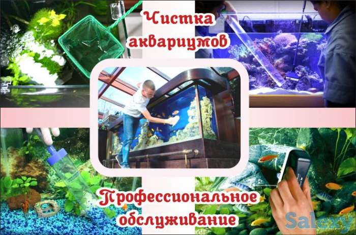 Аквариумы (биотопы). Дизайн, Изготовление, Обслуживание, Уход., фотография 4