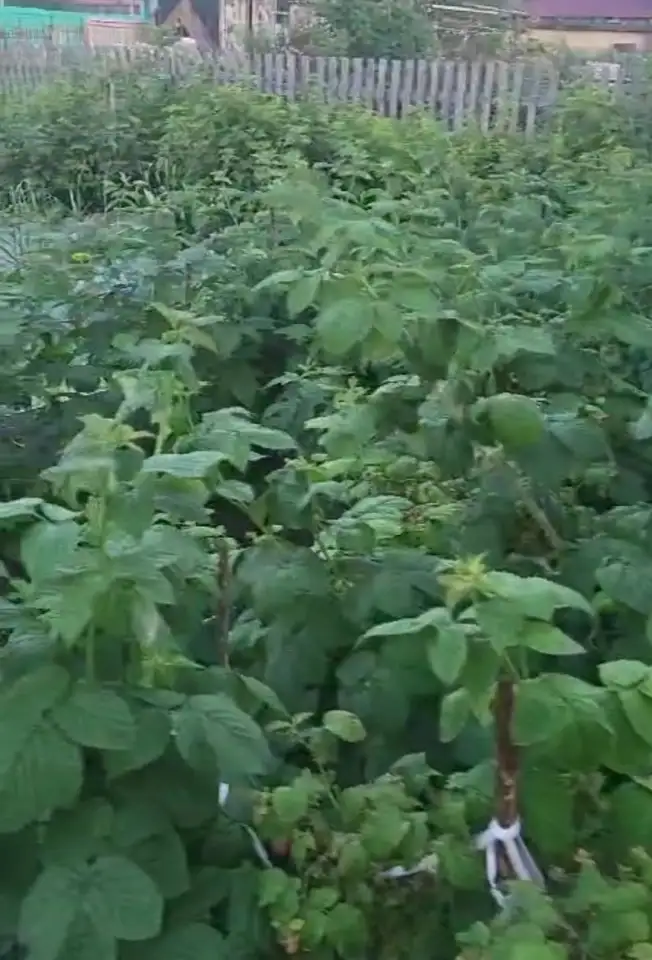 Продается дача, фотография 8