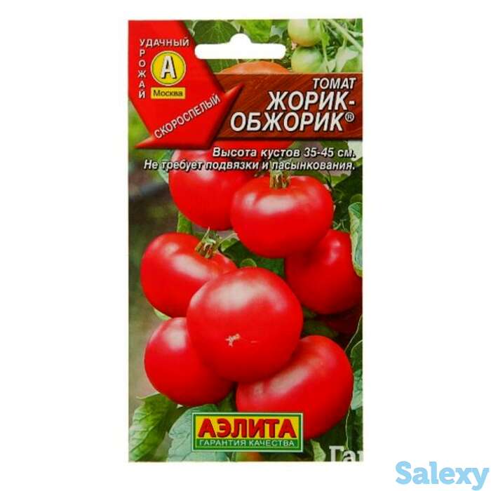 Семена Томат Жорик-обжорик, фотография 1