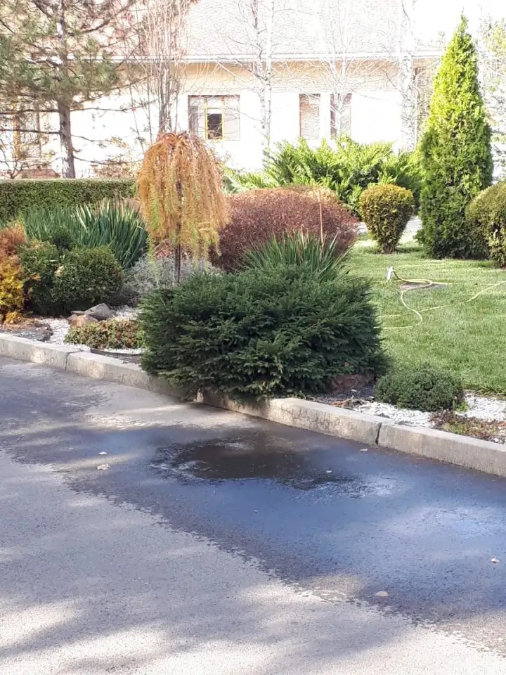 Спил сруб деревьев, фотография 6