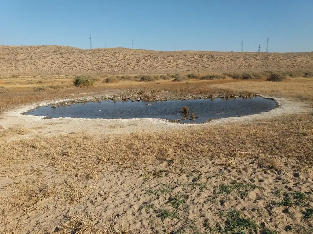 Участок 350 га в Кунаева Капчагай, (Капчагай), фотография 1