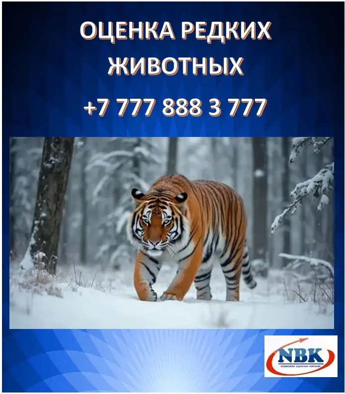 Оценка редких животных, фотография 1