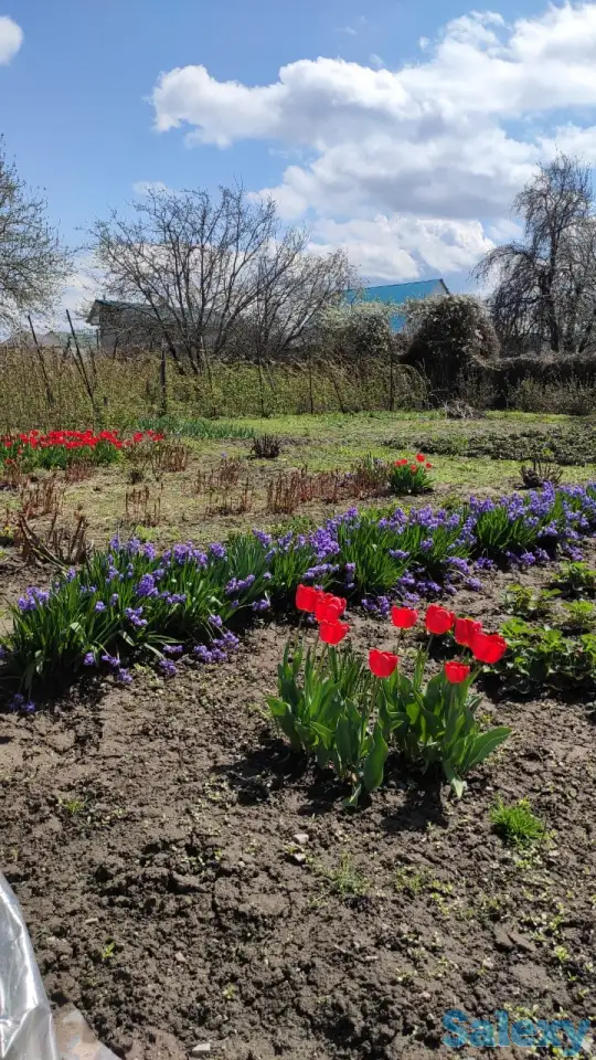 Дача 15 соток, Алматинская область, Талгарский район, с.о. Кендалинский, с. Кендала, с/т Медик-, фотография 3