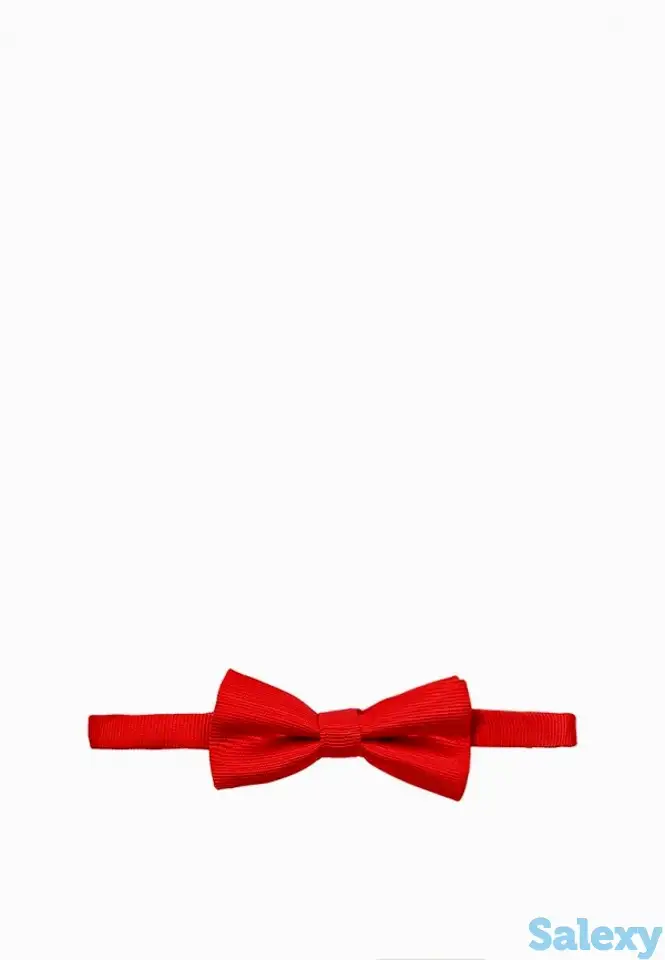 Бабочка sela, фотография 1