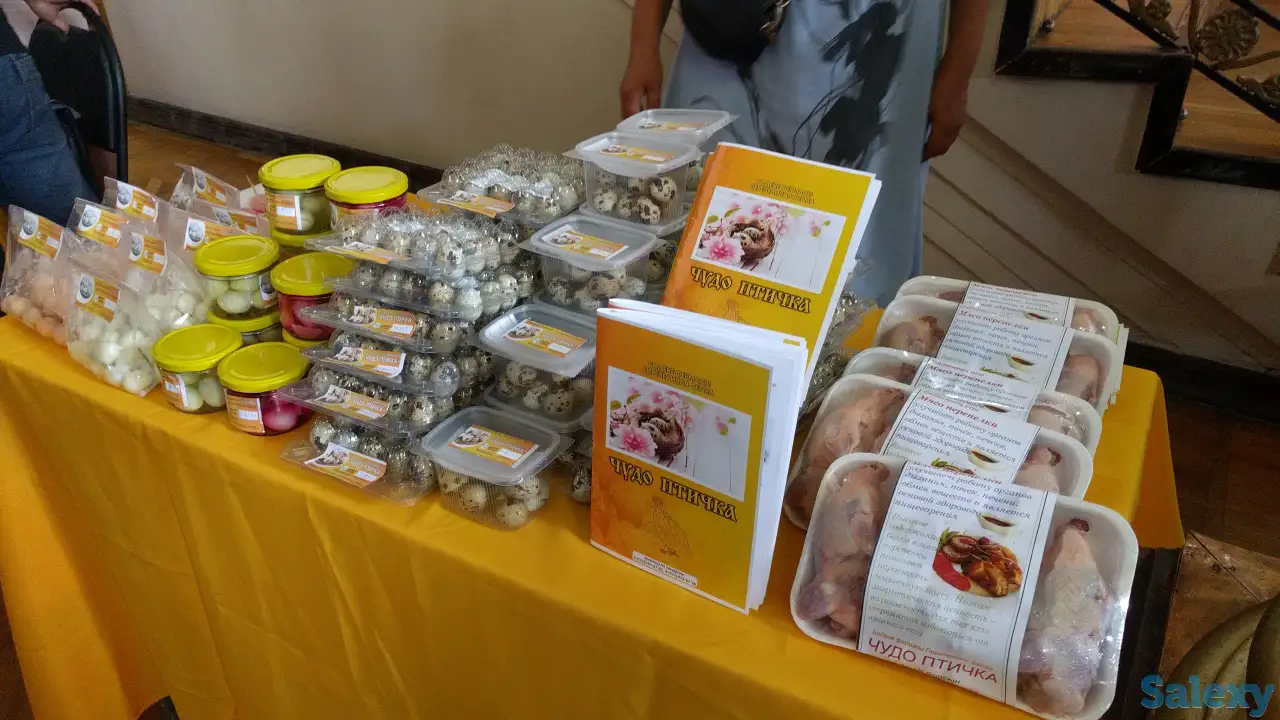 Продам перепелиную ферму, фотография 5