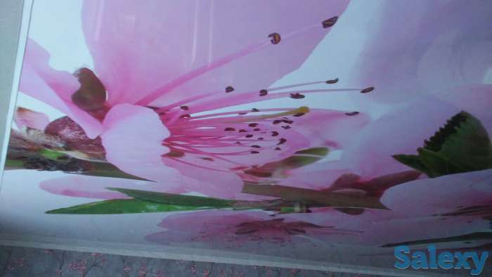 Натяжные потолки, фотография 5