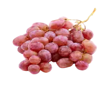 Виноград Тайфи осенний, фотография 1