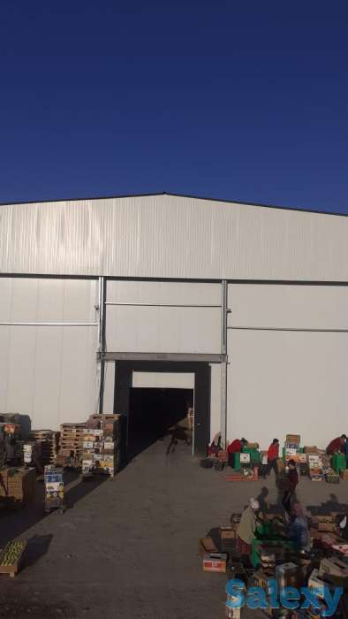 Фруктохранилище Услуги хранения-реализации( Лимон, Гранат, салат Айсберг).Ищем партнера с Узбекистана ., фотография 1