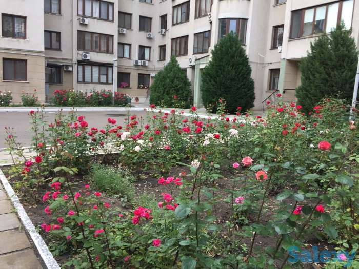 Квартира. Редкое предложение в одном из самых престижных мест Одессы, фотография 9