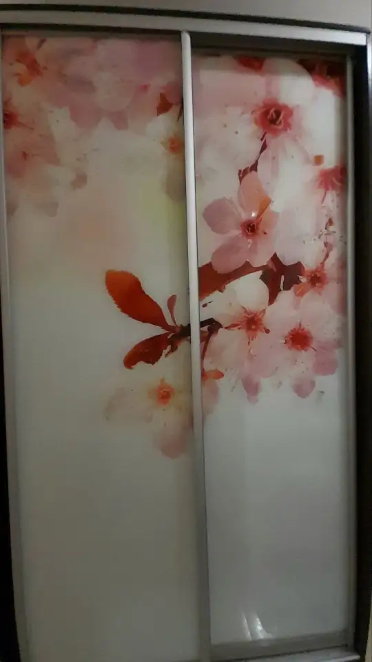 Шкаф купе из темного дерева с стеклянным фасадом в виде вишневой сакуры бу, фотография 3