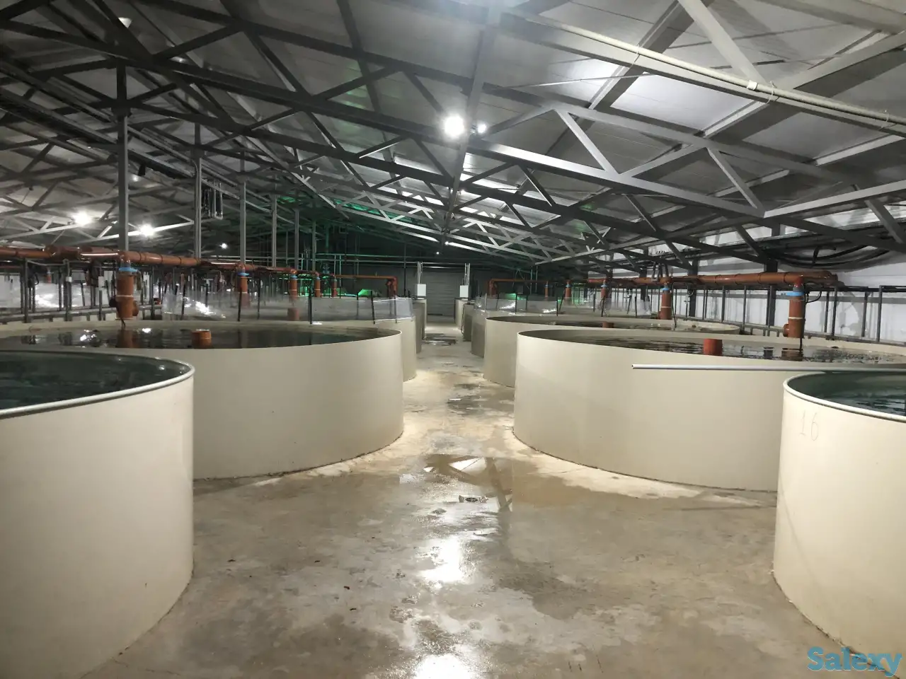 Рыбовод, фотография 1