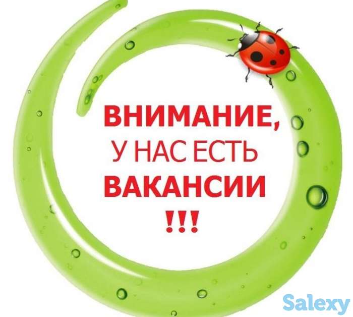 Требуется продавец - кассир. Активная Легкообучаемая Ответственная Работа с весовым товаром Без вредных привычек График, фотография 1