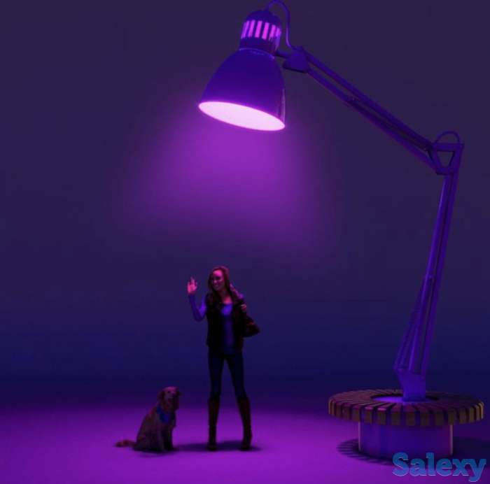 Дизайн интерьера, фотография 4