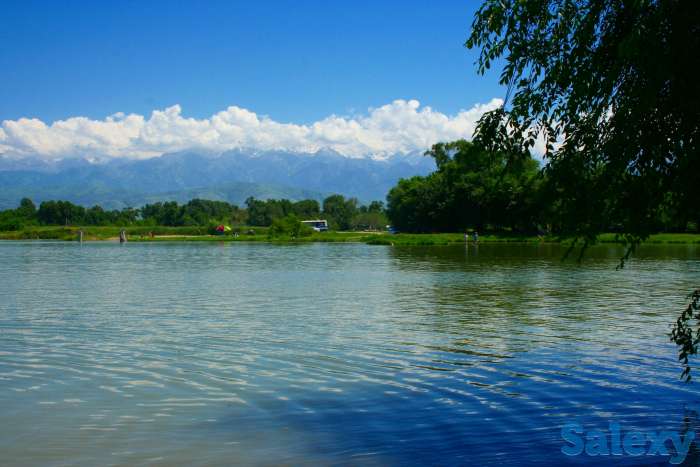 Видео-Фото, фотография 10