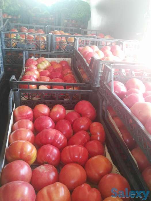 Семена розовых томатов помидор Pink Matador, фотография 5