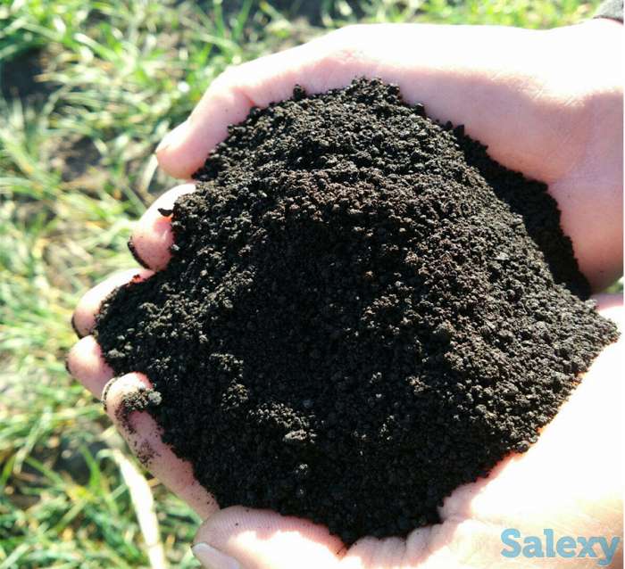 Торф, фотография 1