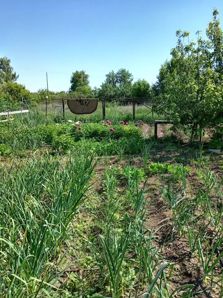 ПРОДАМ ДОМ В ДАЧНОМ КООПЕРАТИВЕ ТАМАРИКС зимний вариант, фотография 9