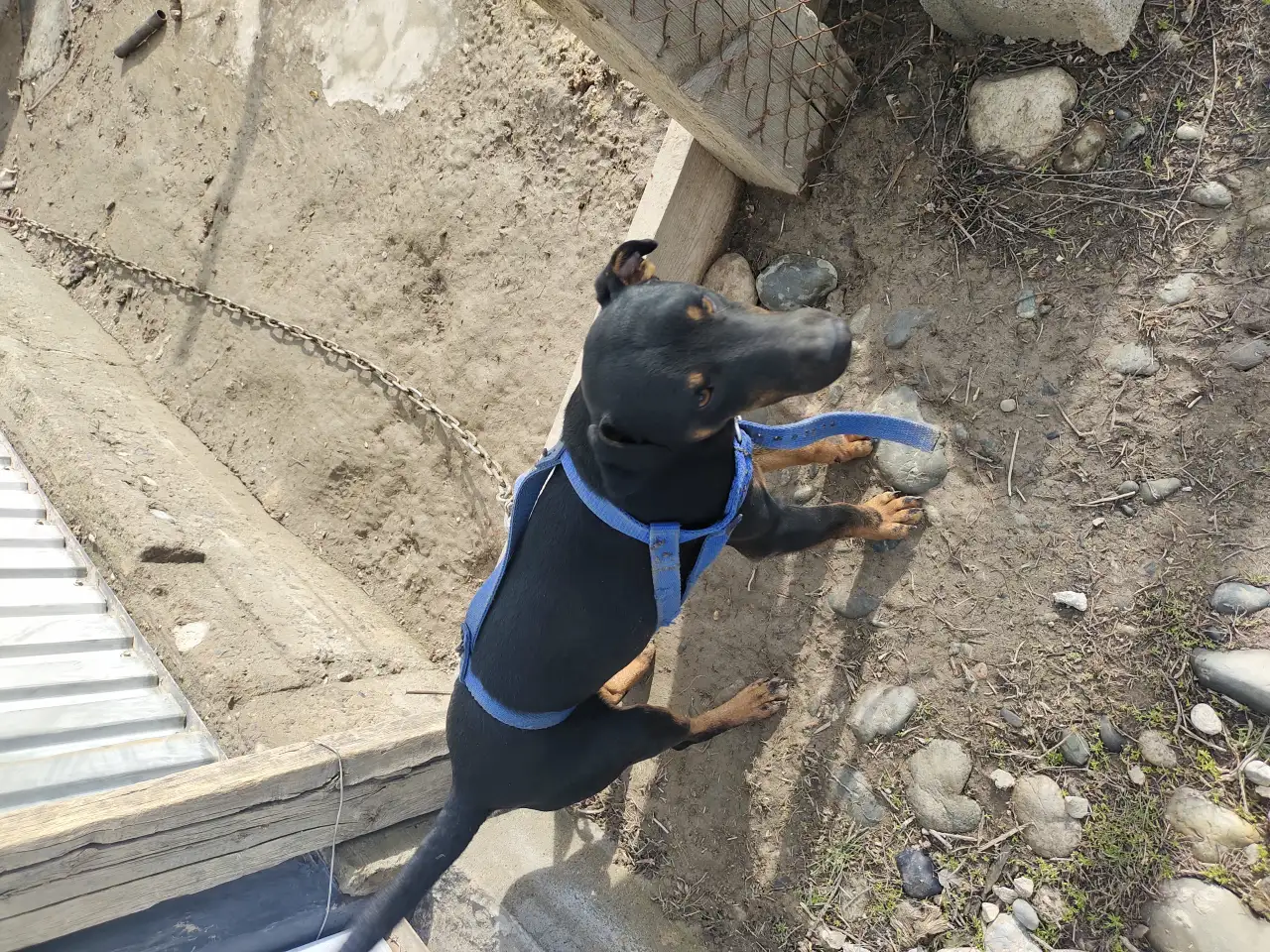 Яг 8 айдан асты Ул 40 мын, фотография 1