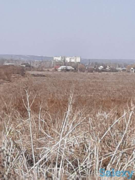 50 соток КХ Кошмамбет, фотография 9