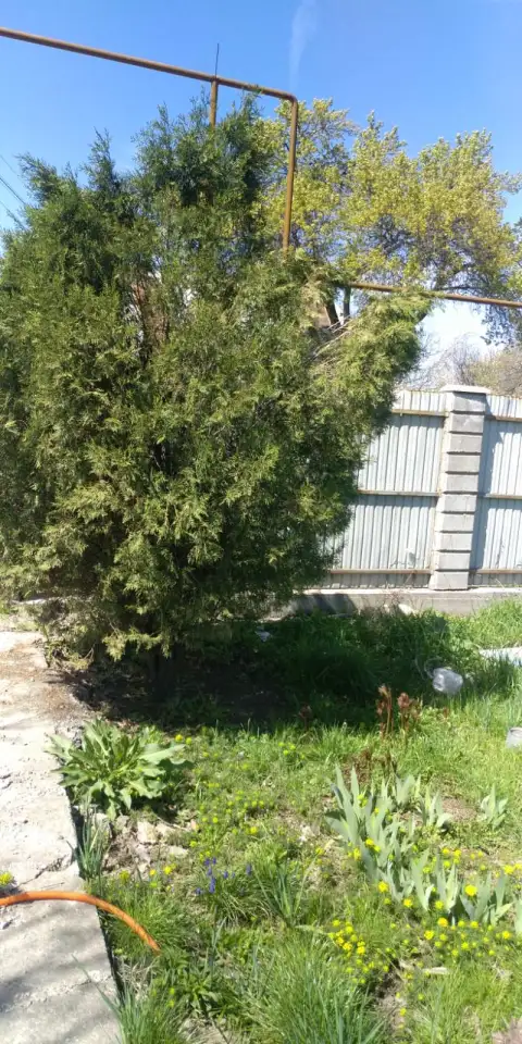 Продам дачу в Алматинской области севернее поселка Кендала. ПК Восход., фотография 10