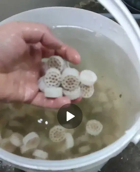 Тонущая биозагрузка для очистки воды, фотография 2