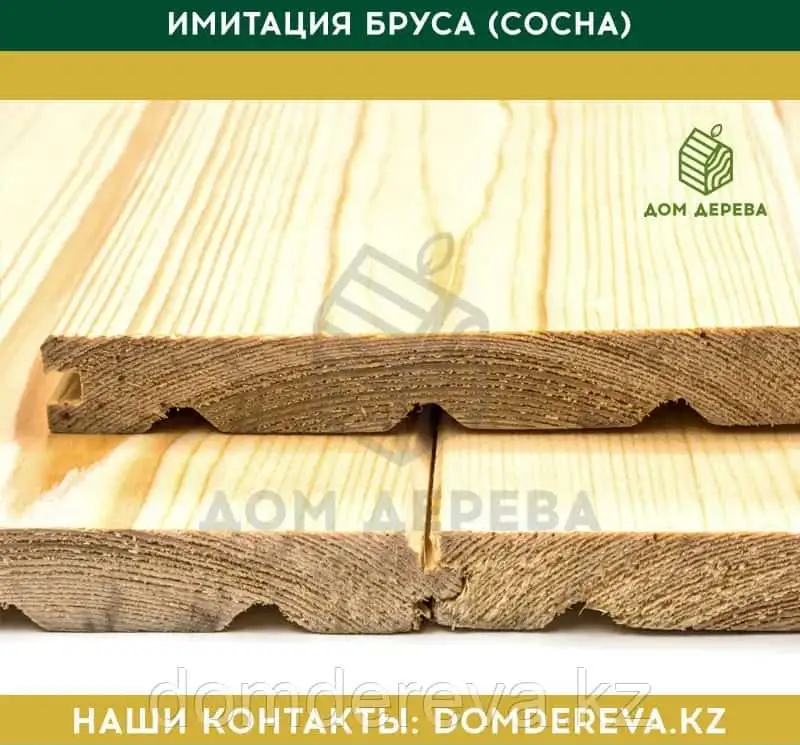 Дом  Дерева, фотография 4