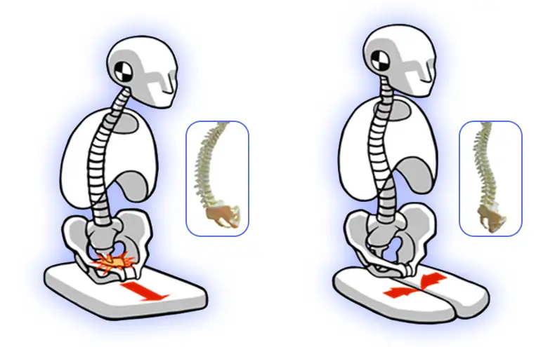 Офисное кресло Hara Chair PASCAL ортопедическое Ю.Корея, фотография 6