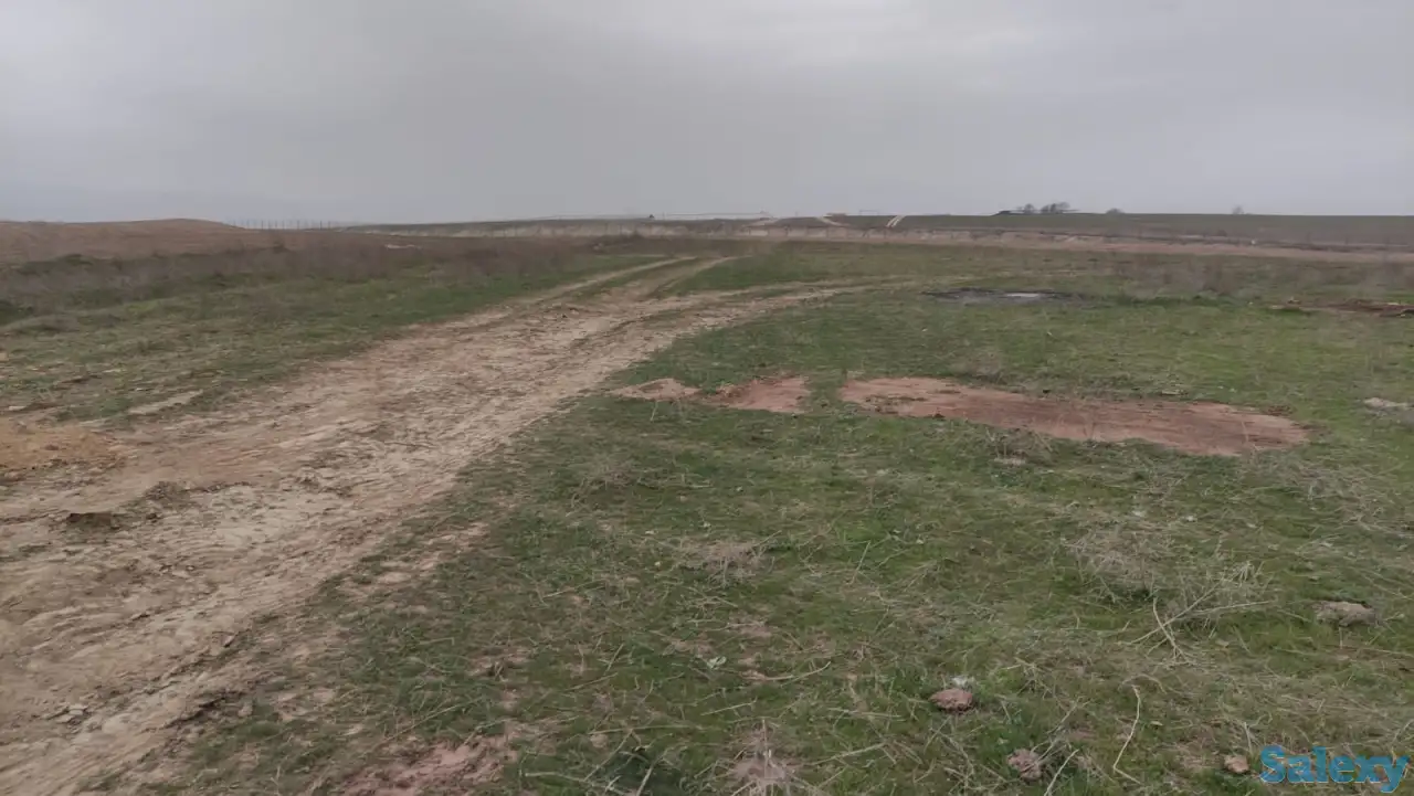 Продам участок 2,29Га КХ, фотография 4