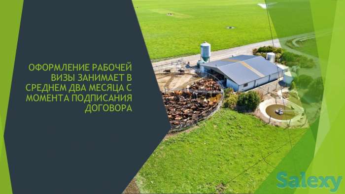 Работа за рубежом, фотография 6