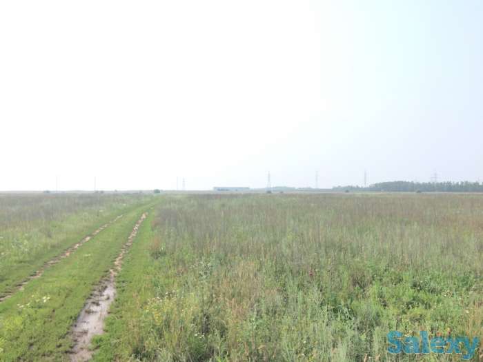 Продам земельный участок 5 га, фотография 4