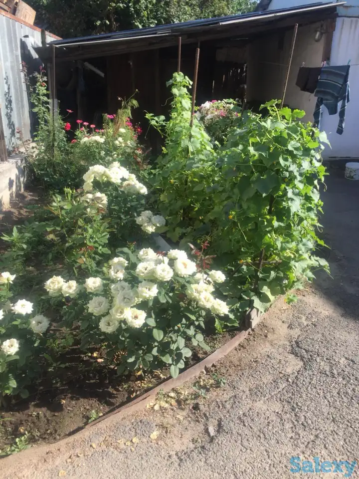 Продам дом, Ыкылас 27а, фотография 20