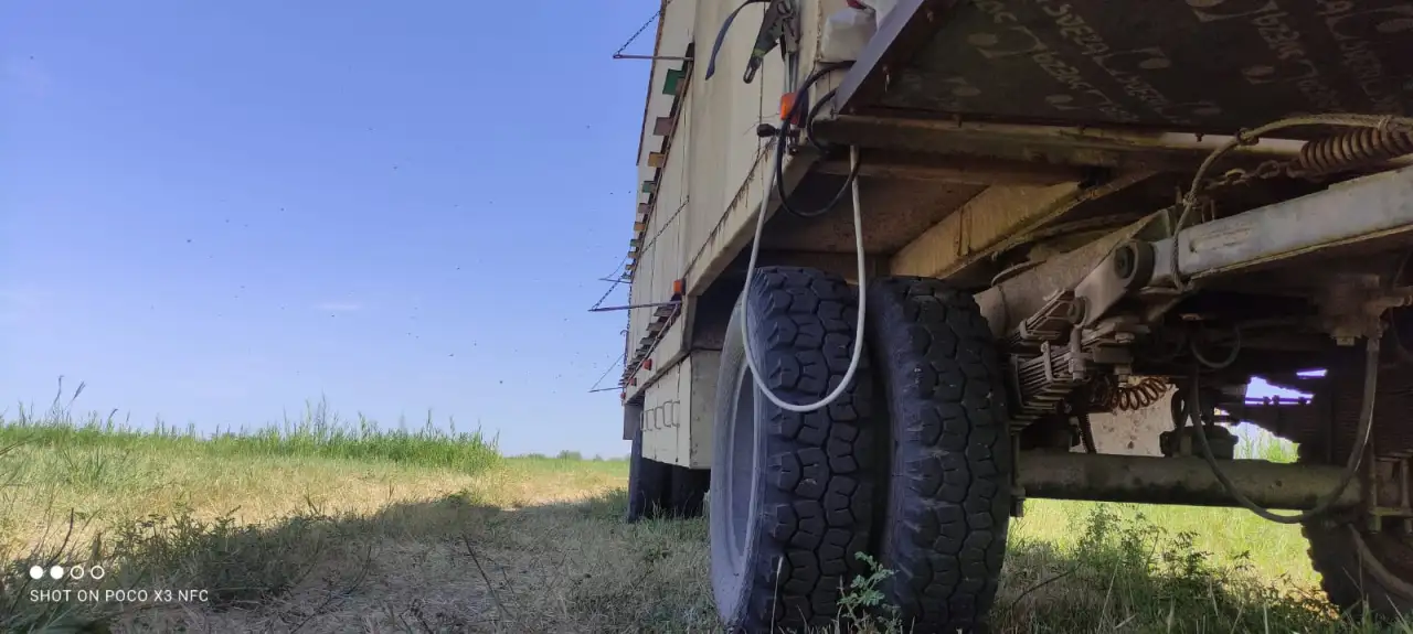 Продам Пчелопавильон, фотография 3