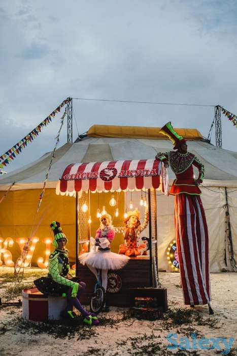 Цирк шапито АКУЛА в Алматы, фотография 4