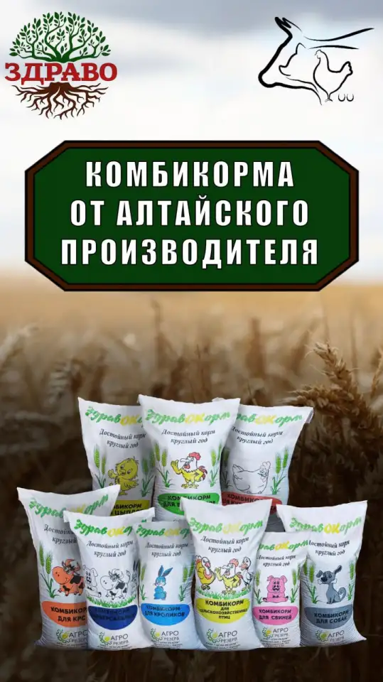 Комбикорм оптом от Алтайского производителя, фотография 1
