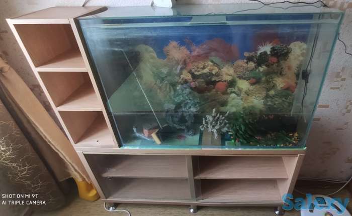 Продам дешево, панорамный аквариум с крышкой 93х63х23(135литров), фотография 1