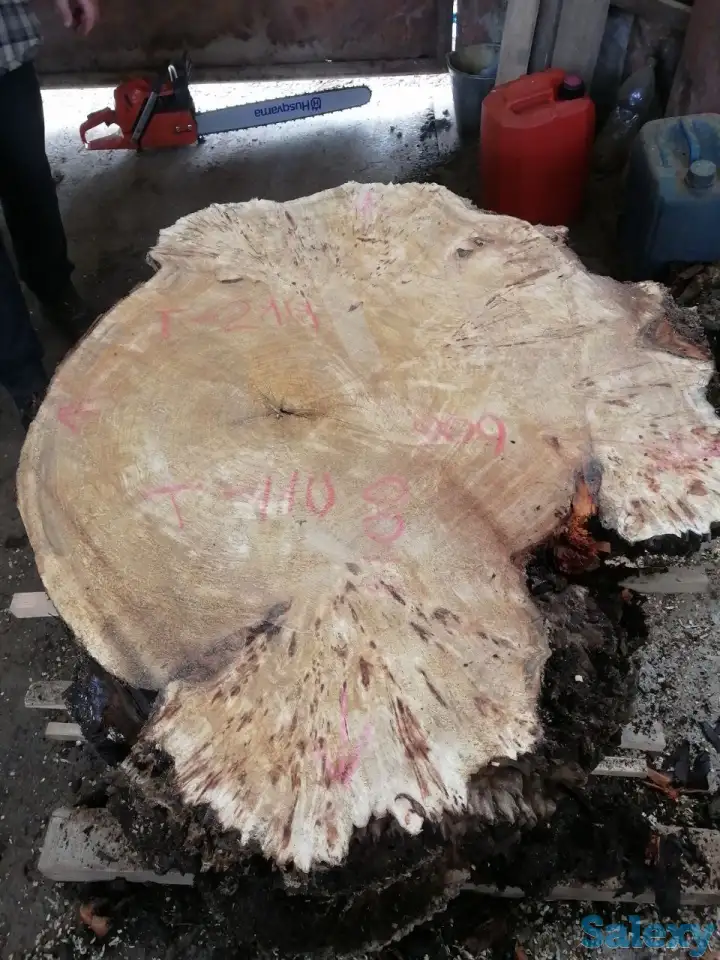 Слэбы от производителя из дуба, шпальтового бука, капового тополя, вербы, капового карагача, ясеня., фотография 10